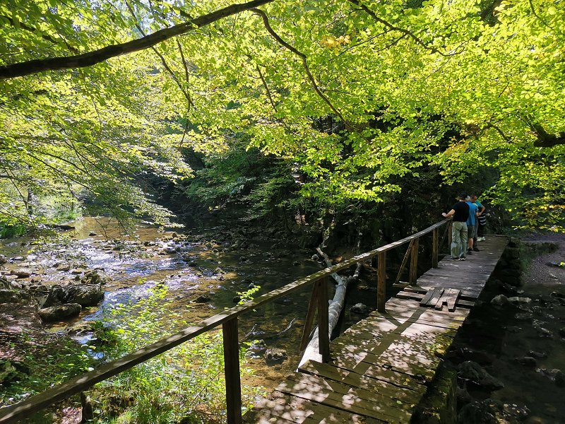 547218513 122239132874057060 178654566998617446 n bloško jezero