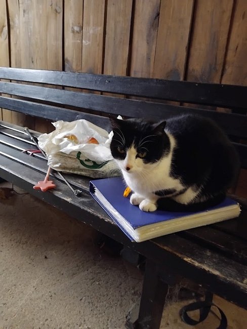 IMG 20251120 152008 konjii