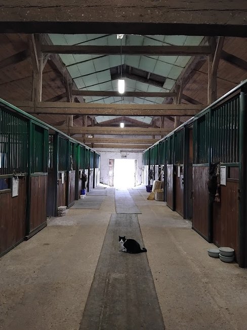 IMG 20251120 151336 konjii