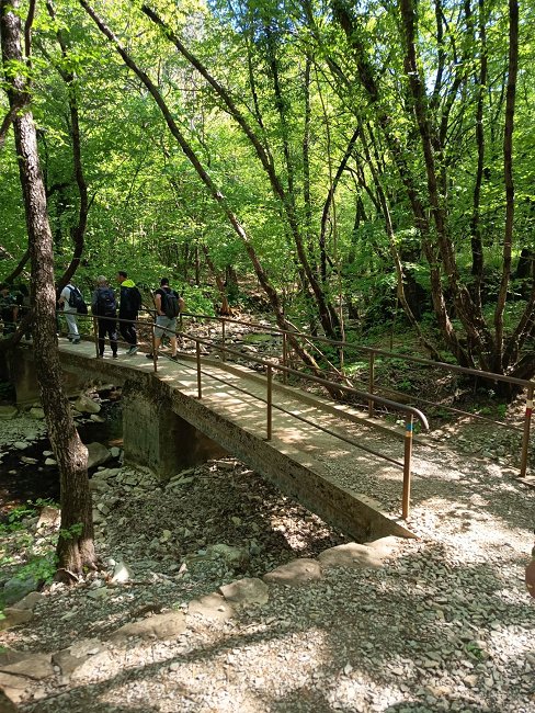 viber image 2026-04-23 16-58-10-132